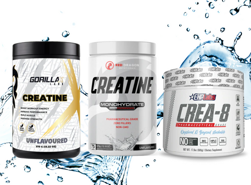 The 10 Best Creatine Supplements to Boost Performance and Muscle Growth